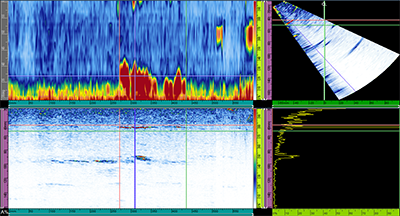 Phased Array